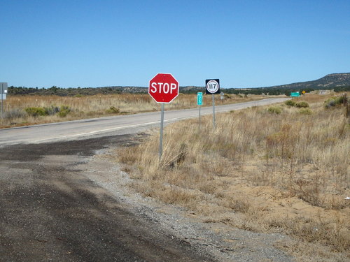 GDMBR: Looking east on NM-117 (not our direction).